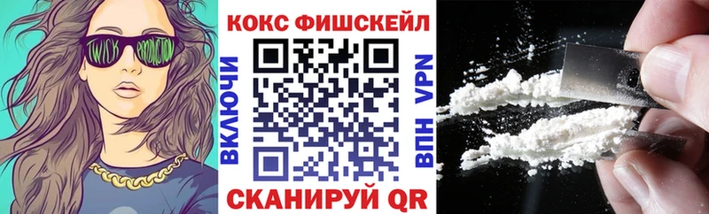 Cocaine FishScale  Купить закладки  Курильск 