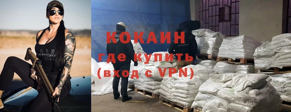 прущая мука Арсеньев